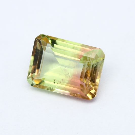 Natural Bi-Color Tourmaline 2.77 Carat 10x7.5 MM Octagon Shape Faceted Gemstone
