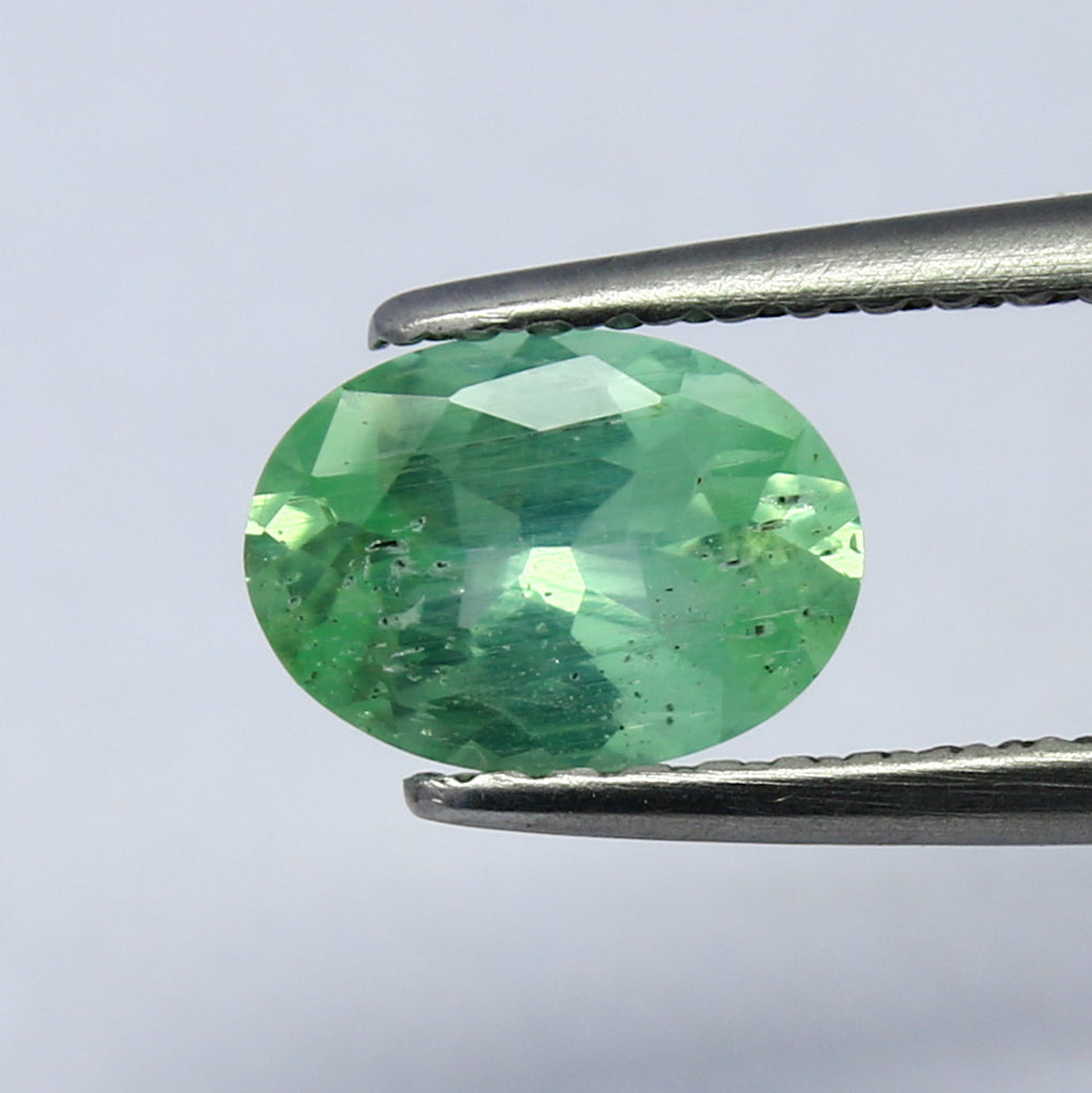 Natural Rare Vanadium Kornerupine 0.67 Carat 7.2x5.2 MM Oval Shape Faceted Gemstone