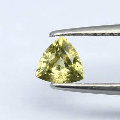 Natural Yellow Umba Sapphire 0.41 Carat 5x5 MM Trillion Shape Faceted Gemstone