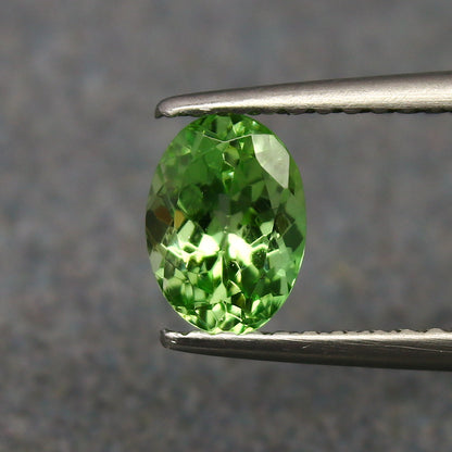 Natural Tsavorite Garnet 0.88 Carat 6.8x4.9 MM Oval Shape Faceted Gemstone