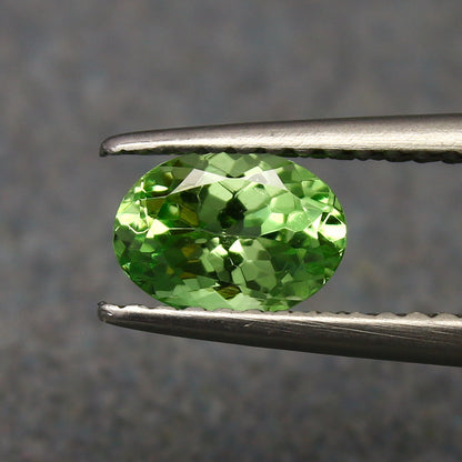 Natural Tsavorite Garnet 0.88 Carat 6.8x4.9 MM Oval Shape Faceted Gemstone