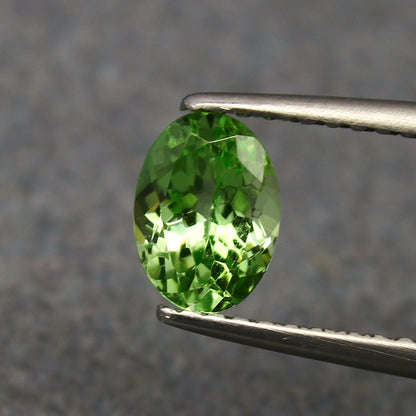 Natural Tsavorite Garnet 0.88 Carat 6.8x4.9 MM Oval Shape Faceted Gemstone