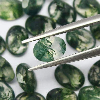 Natural Moss Agate Lot 4x3 to 10x14 MM Oval Shape Faceted Gemstone Lot 