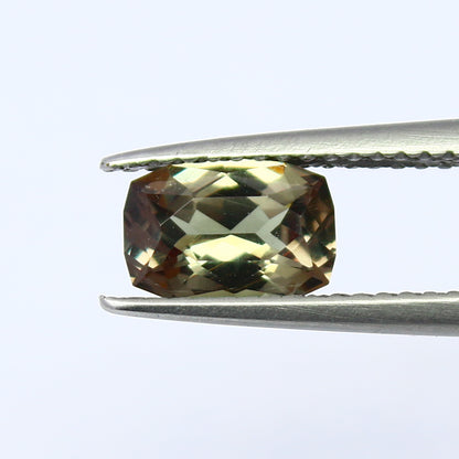 Natural Color Change Garnet 1.19 Carat 7.7x5.4 MM Fancy Shape Faceted Gemstone