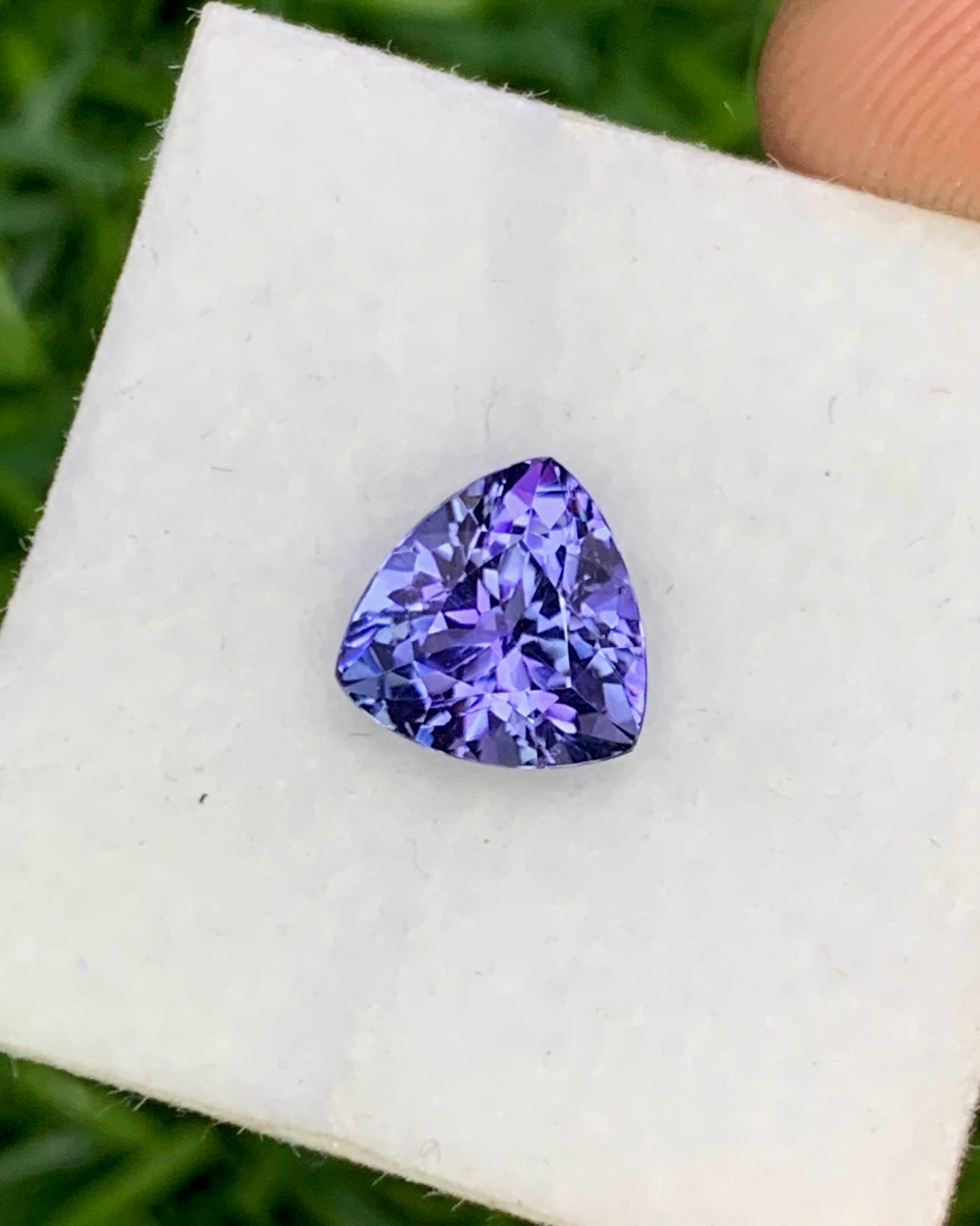 Natural Bi Color Tanzanite 1.72 Carat 7.3x7.3 MM Trillion Shape Faceted Gemstone