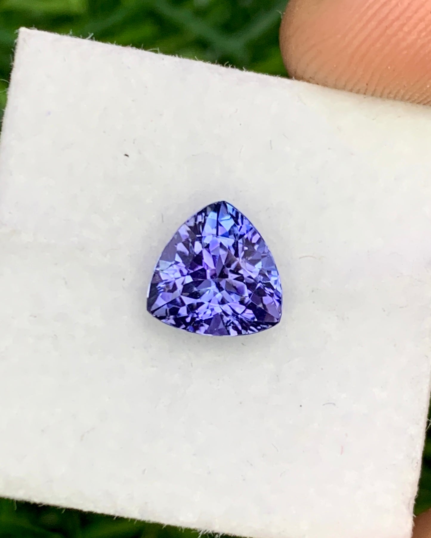 Natural Bi Color Tanzanite 1.72 Carat 7.3x7.3 MM Trillion Shape Faceted Gemstone