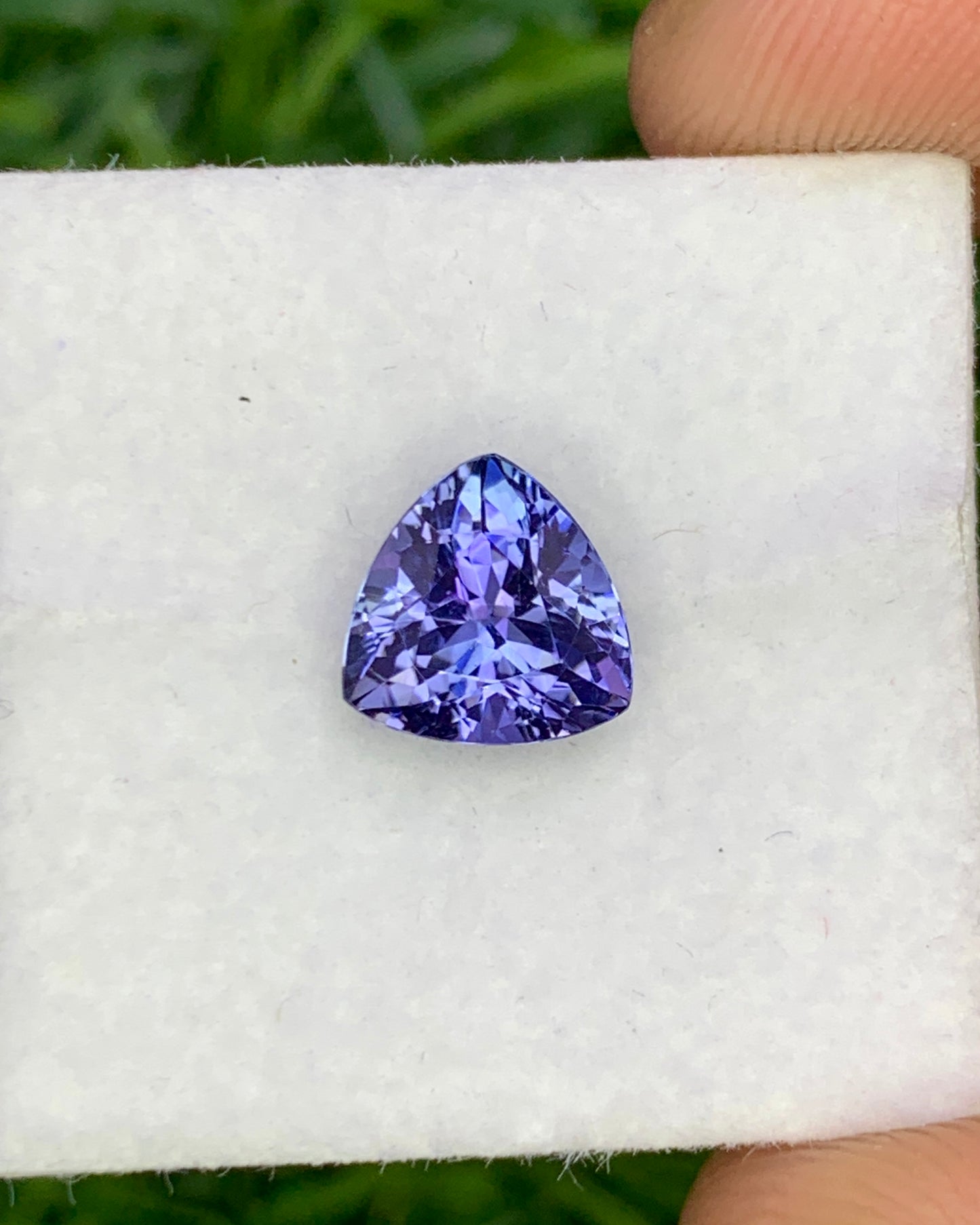 Natural Bi Color Tanzanite 1.72 Carat 7.3x7.3 MM Trillion Shape Faceted Gemstone