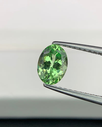 Natural Tsavorite Garnet 0.88 Carat 6.8x4.9 MM Oval Shape Faceted Gemstone
