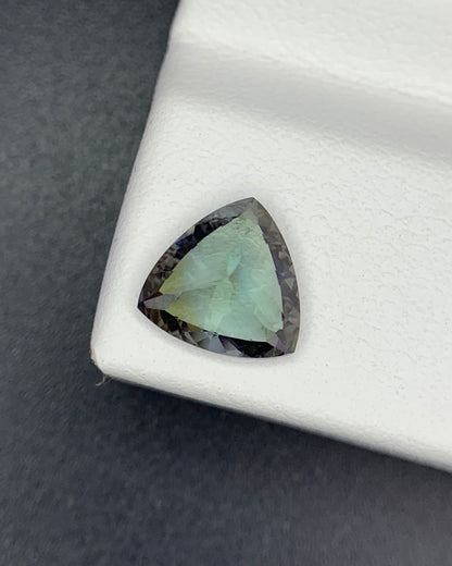 Natural Unheated Bi Color Tanzanite 1.20 Carat 7.3x7.3 MM Trillion Shape Faceted Gemstone