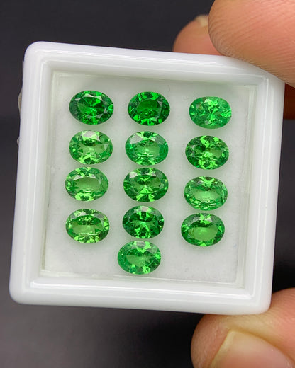 Natural Green Tourmaline Lot 6.22 Carat 7X5 MM Oval Shape Faceted Gemstone 8 Piece Lot 