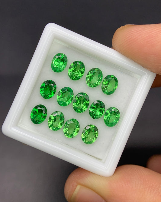 Natural Green Tourmaline Lot 6.22 Carat 7X5 MM Oval Shape Faceted Gemstone 8 Piece Lot 