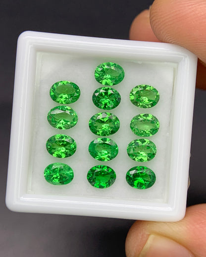 Natural Green Tourmaline Lot 6.22 Carat 7X5 MM Oval Shape Faceted Gemstone 8 Piece Lot 