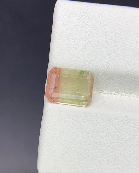 Natural Bi Color Tourmaline 1.92 Carat 8.9x6.9 MM Octagon Shape Faceted Gemstone 