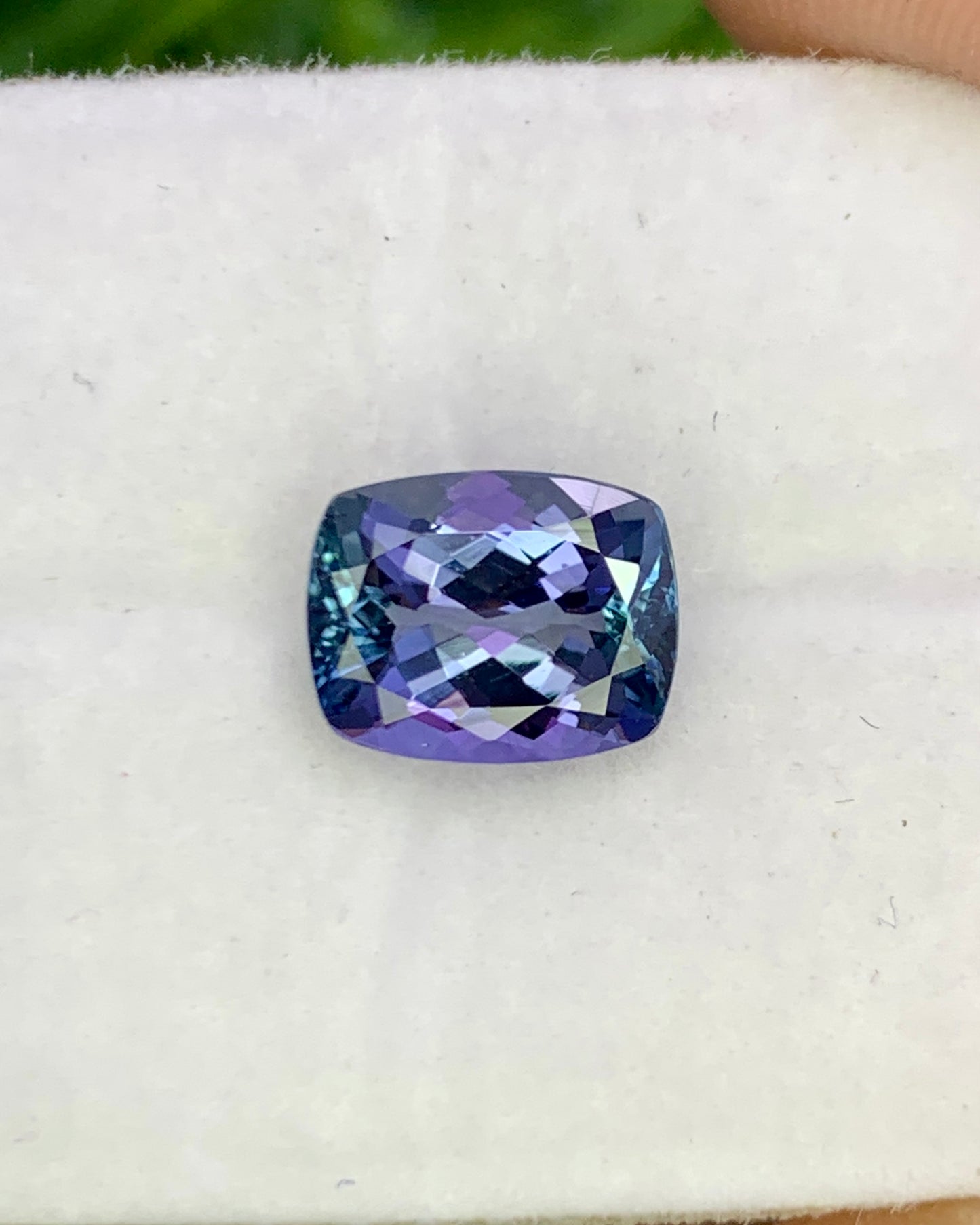 Natural Bi Color Tanzanite 1.61 Carat 7.8x6.2 MM Cushion Shape Faceted Gemstone