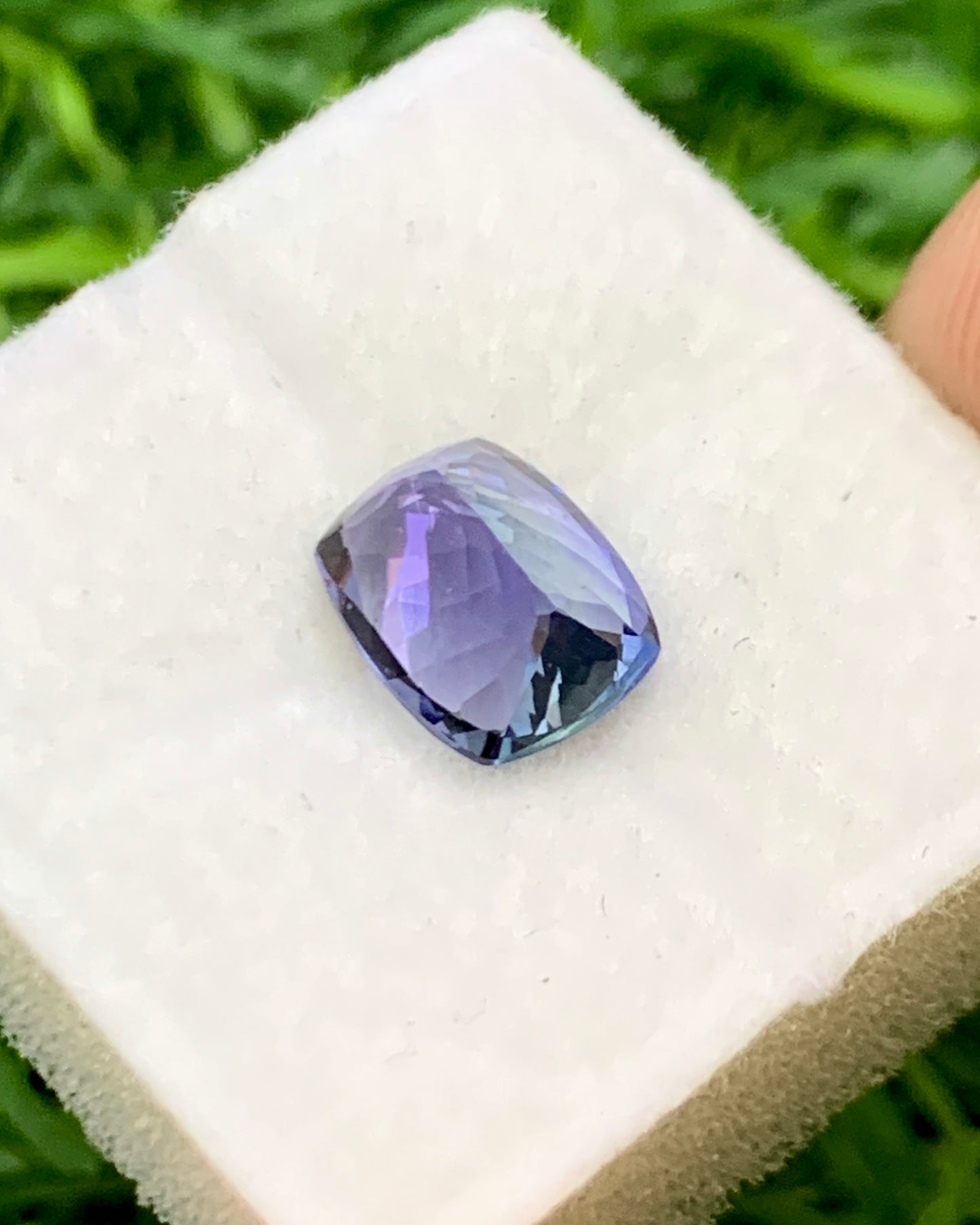 Natural Bi Color Tanzanite 1.61 Carat 7.8x6.2 MM Cushion Shape Faceted Gemstone