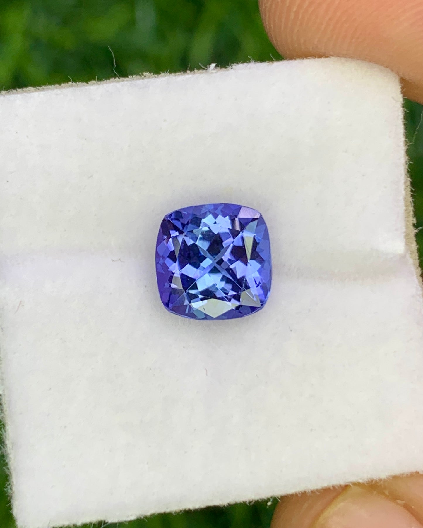 Natural Bi Color Tanzanite 1.54 Carat 6.8x6.8 MM Cushion Shape Faceted Gemstone