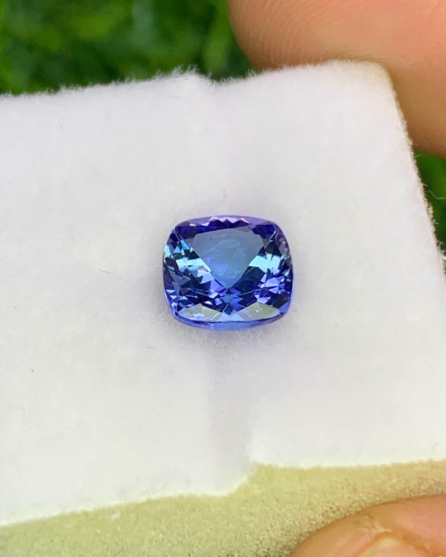 Natural Bi Color Tanzanite 1.54 Carat 6.8x6.8 MM Cushion Shape Faceted Gemstone