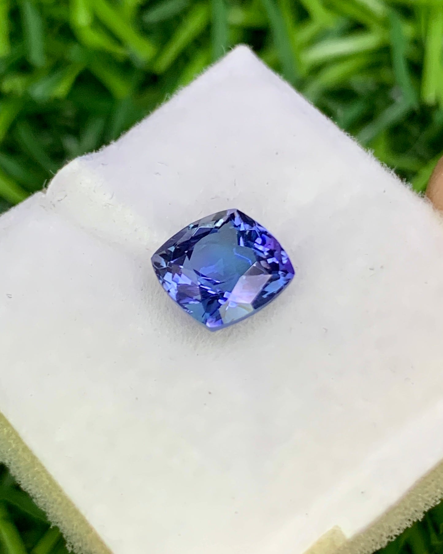 Natural Bi Color Tanzanite 1.28 Carat 6.3x6.3 MM Cushion Shape Faceted Gemstone