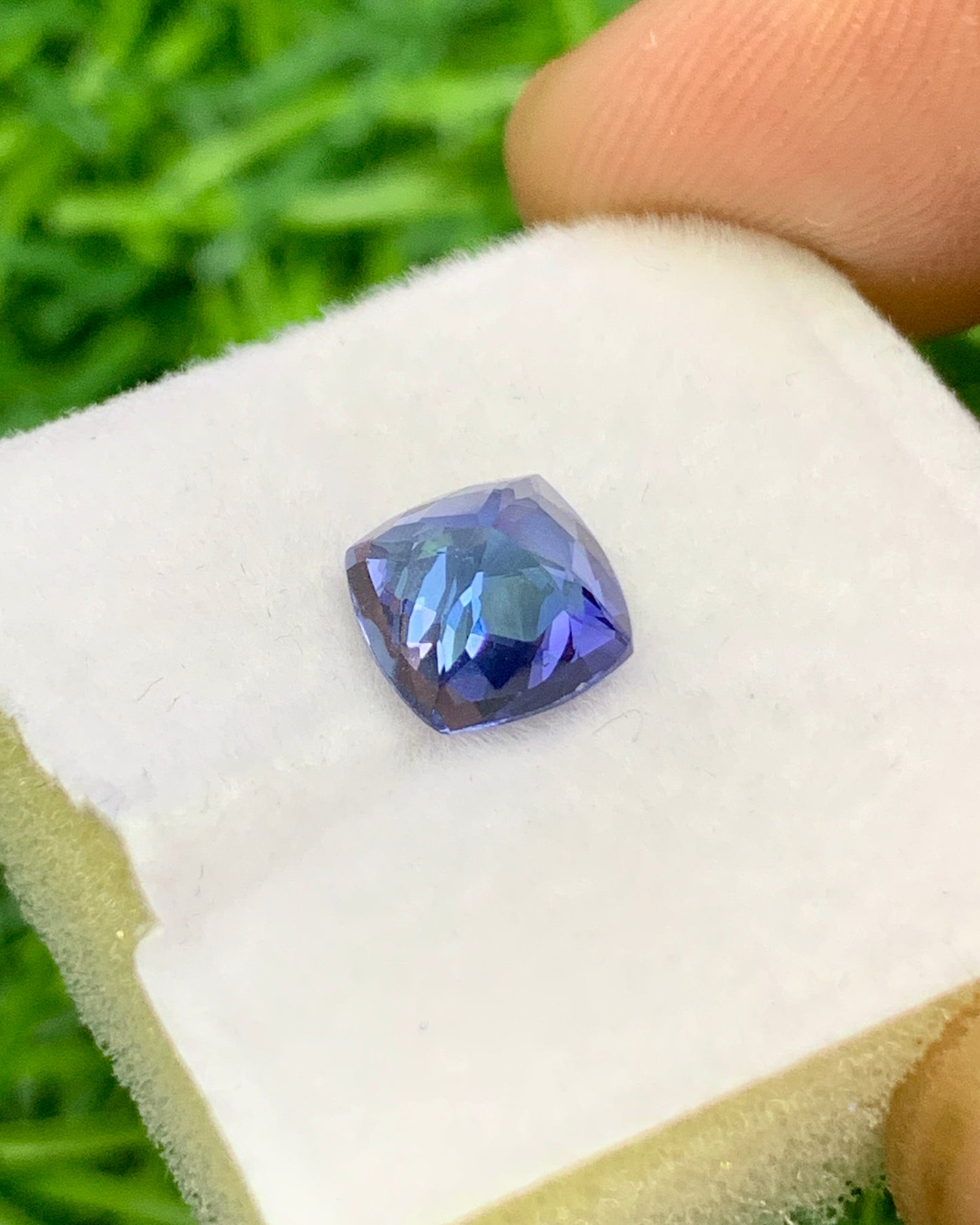 Natural Bi Color Tanzanite 1.28 Carat 6.3x6.3 MM Cushion Shape Faceted Gemstone