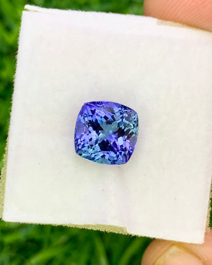 Natural Bi Color Tanzanite 2.40 Carat 7.3x7.3 MM Cushion Shape Faceted Gemstone