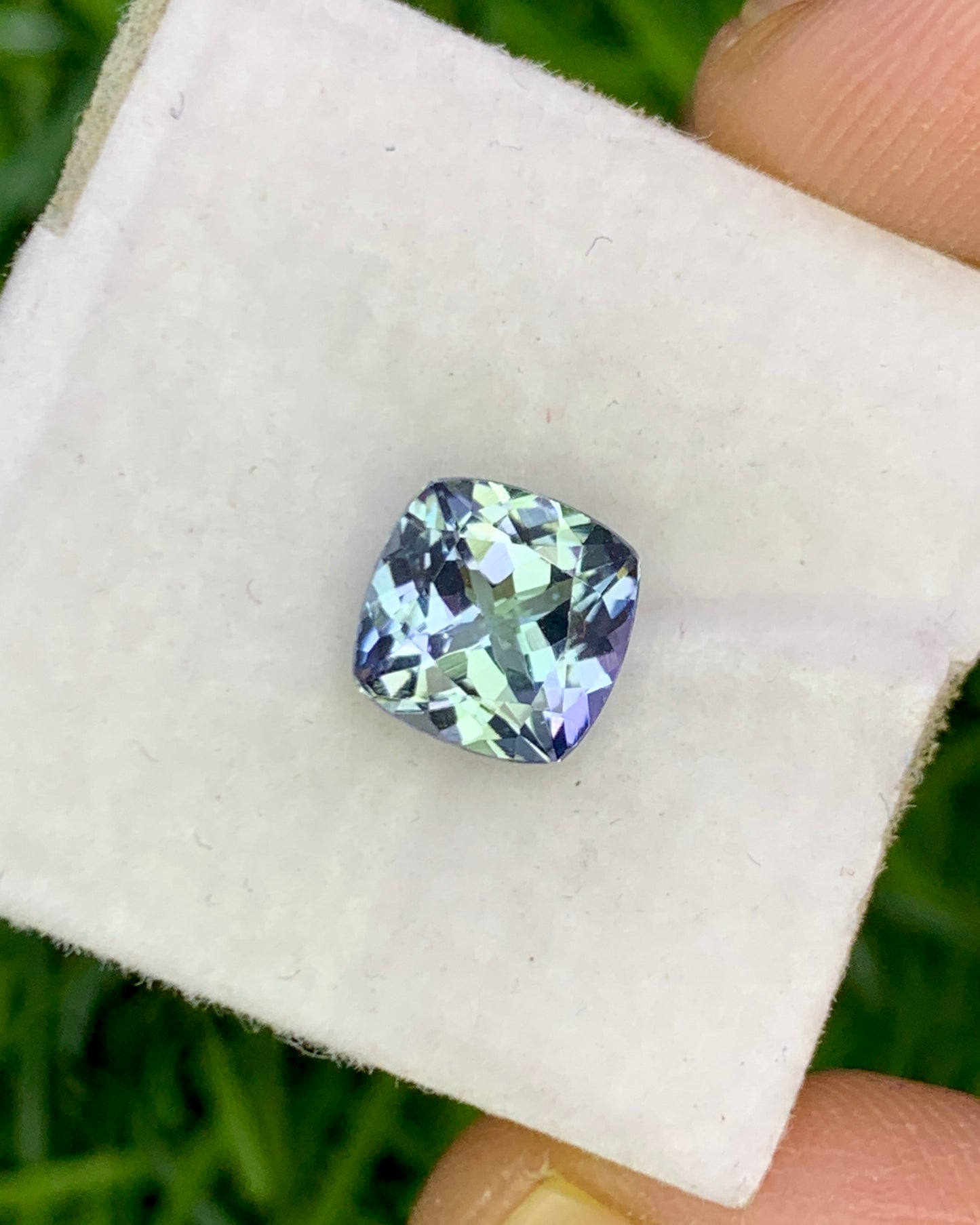 Natural Bi Color Tanzanite 1.38 Carat 6.5x6.5 MM Cushion Shape Faceted Gemstone