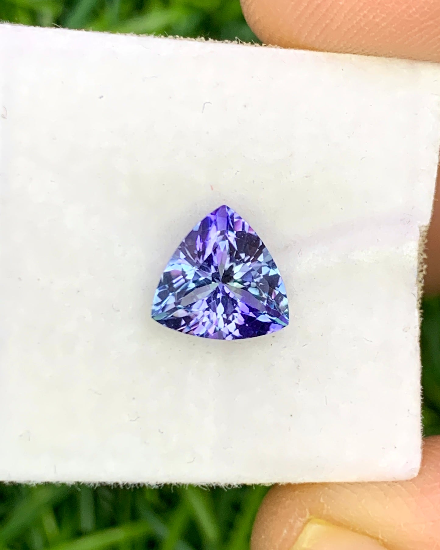 Natural Bi Color Tanzanite 1.38 Carat 7.8x7.8 MM Trillion Shape Faceted Gemstone