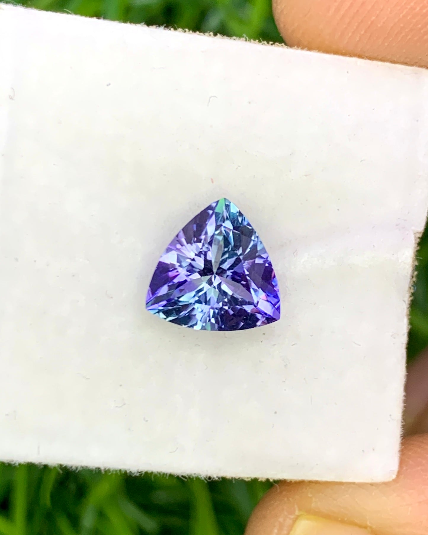 Natural Bi Color Tanzanite 1.38 Carat 7.8x7.8 MM Trillion Shape Faceted Gemstone