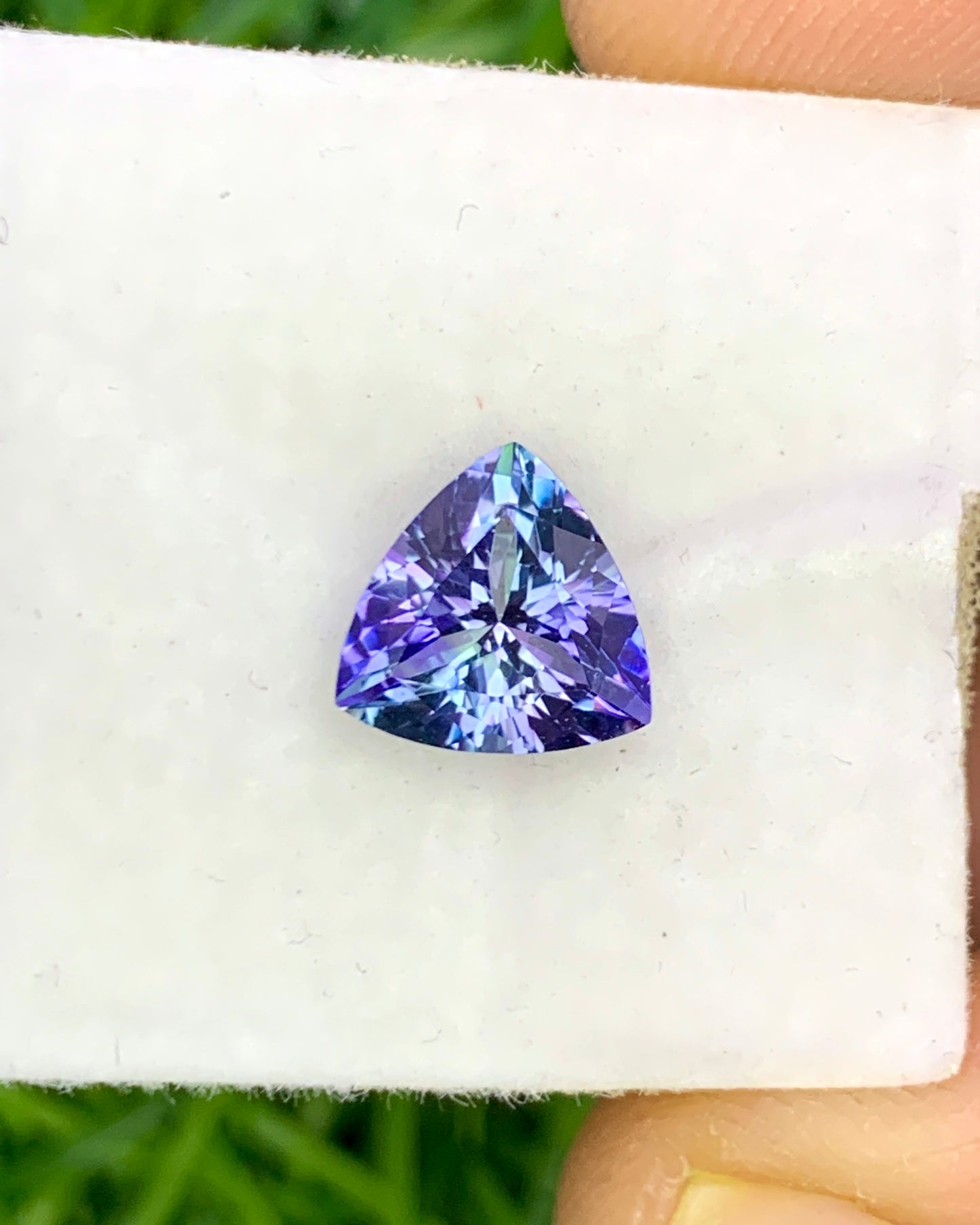 Natural Bi Color Tanzanite 1.38 Carat 7.8x7.8 MM Trillion Shape Faceted Gemstone