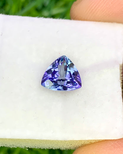 Natural Bi Color Tanzanite 1.38 Carat 7.8x7.8 MM Trillion Shape Faceted Gemstone