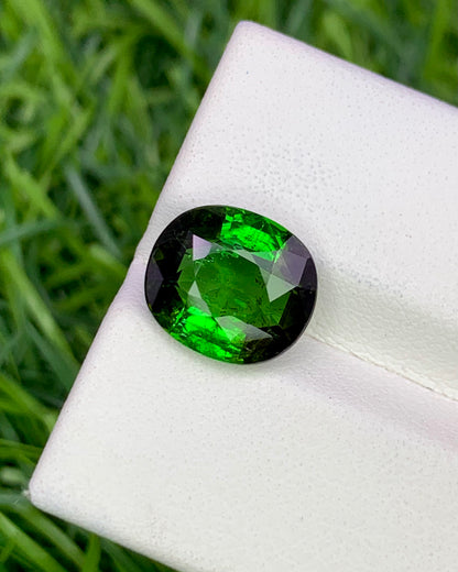Natural Green Tourmaline 3.84 Carat 10.6x9.3 MM Oval Shape Faceted Gemstone