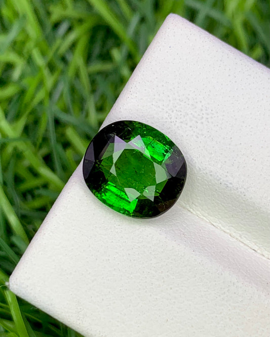 Natural Green Tourmaline 3.84 Carat 10.6x9.3 MM Oval Shape Faceted Gemstone