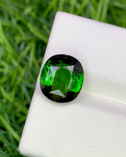 Natural Green Tourmaline 3.84 Carat 10.6x9.3 MM Oval Shape Faceted Gemstone
