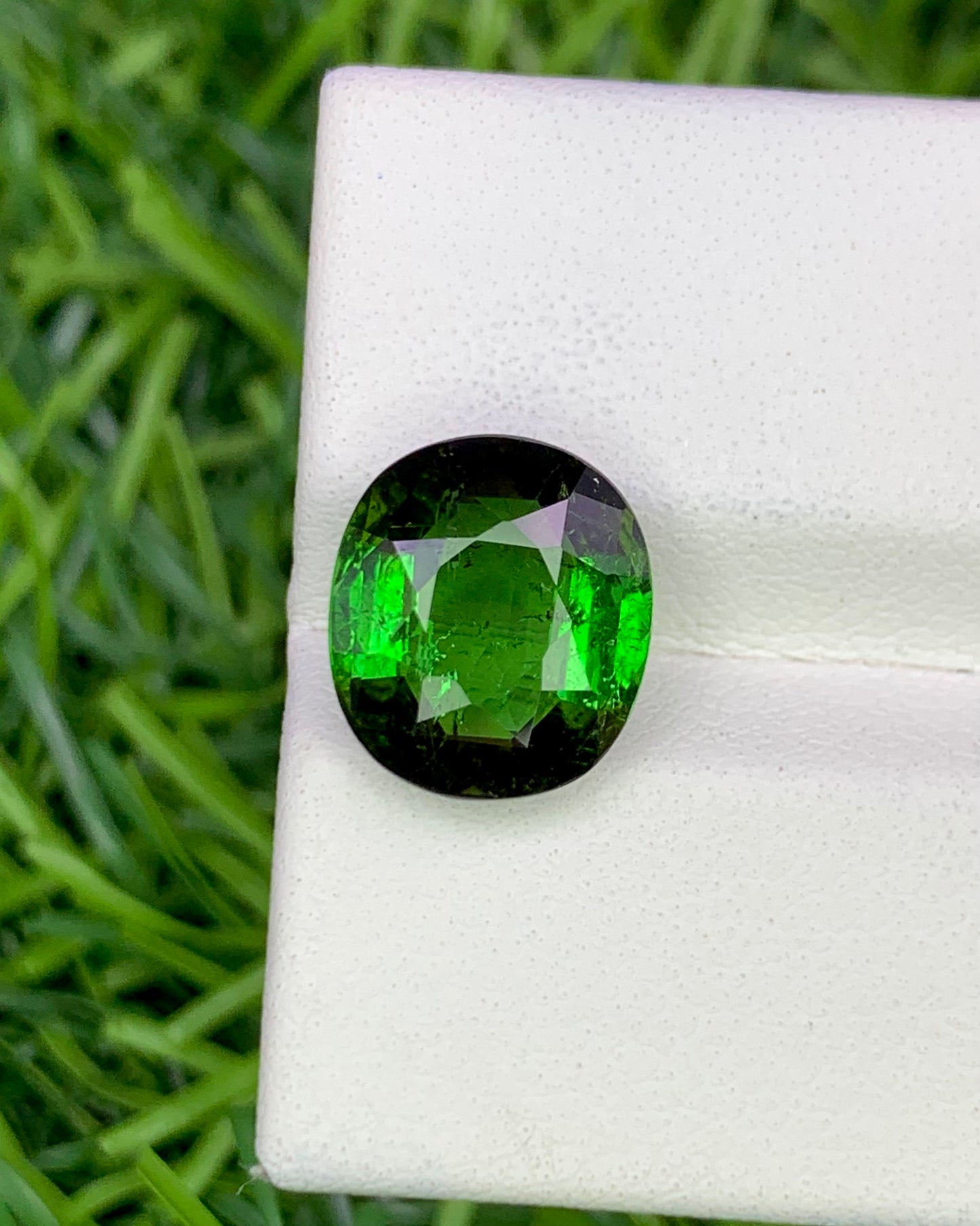Natural Green Tourmaline 3.84 Carat 10.6x9.3 MM Oval Shape Faceted Gemstone
