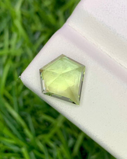 Natural Green Tourmaline 3.34 Carat 11x10.7 MM Fancy Shape Faceted Gemstone