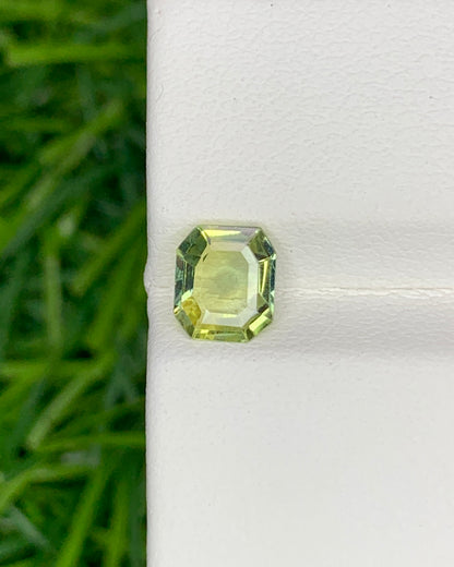 Natural Bi Color Parti Sapphire 0.94 Carat 6.4x5.5 MM Octagon Shape Faceted Gemstone