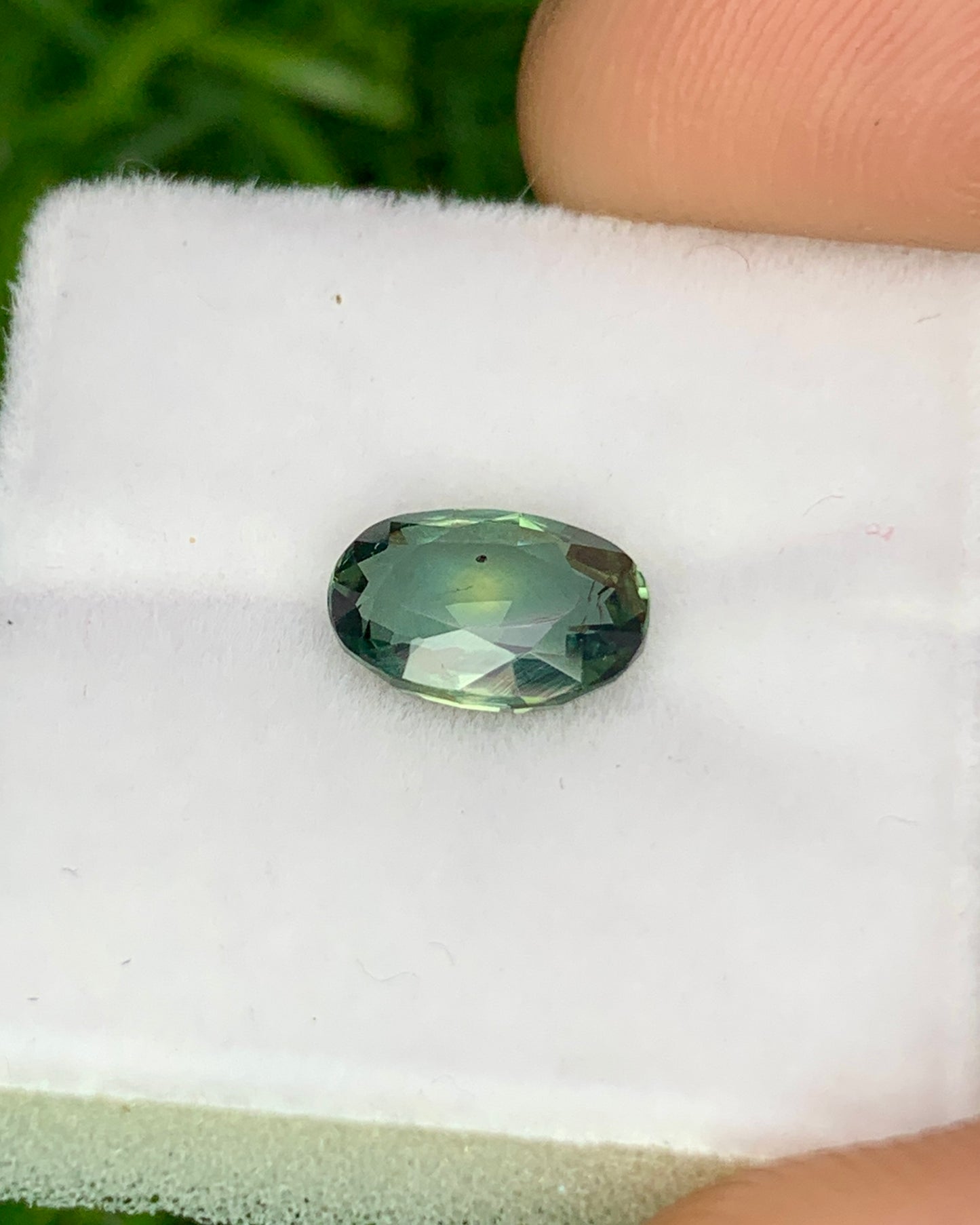 Natural Bi Color Sapphire 1.29 Carat 7.7x5.5 MM Oval Shape Faceted Gemstone