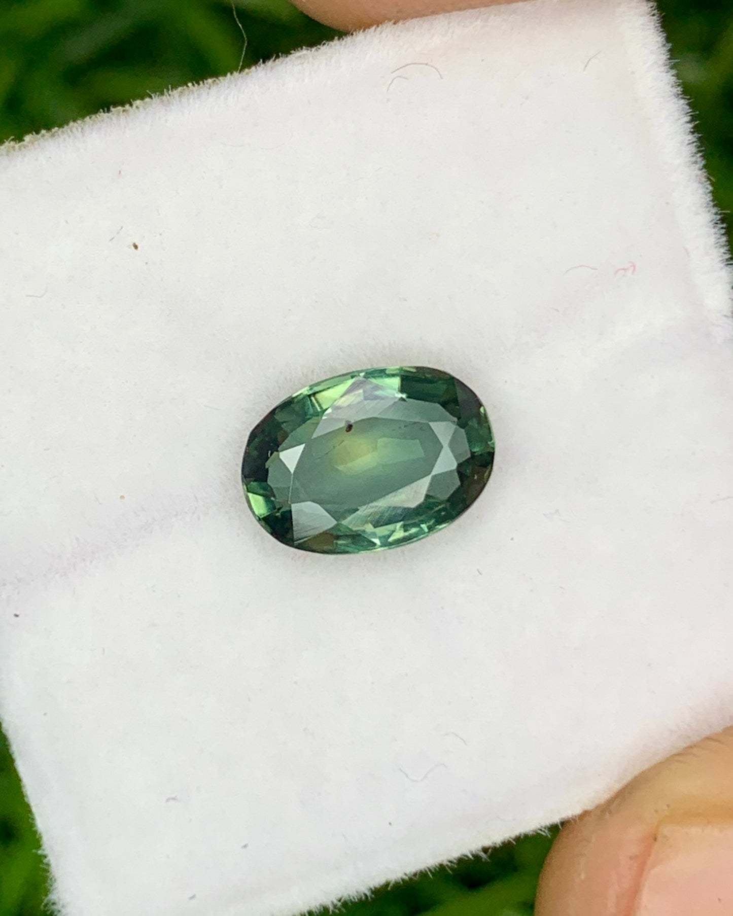 Natural Bi Color Sapphire 1.29 Carat 7.7x5.5 MM Oval Shape Faceted Gemstone