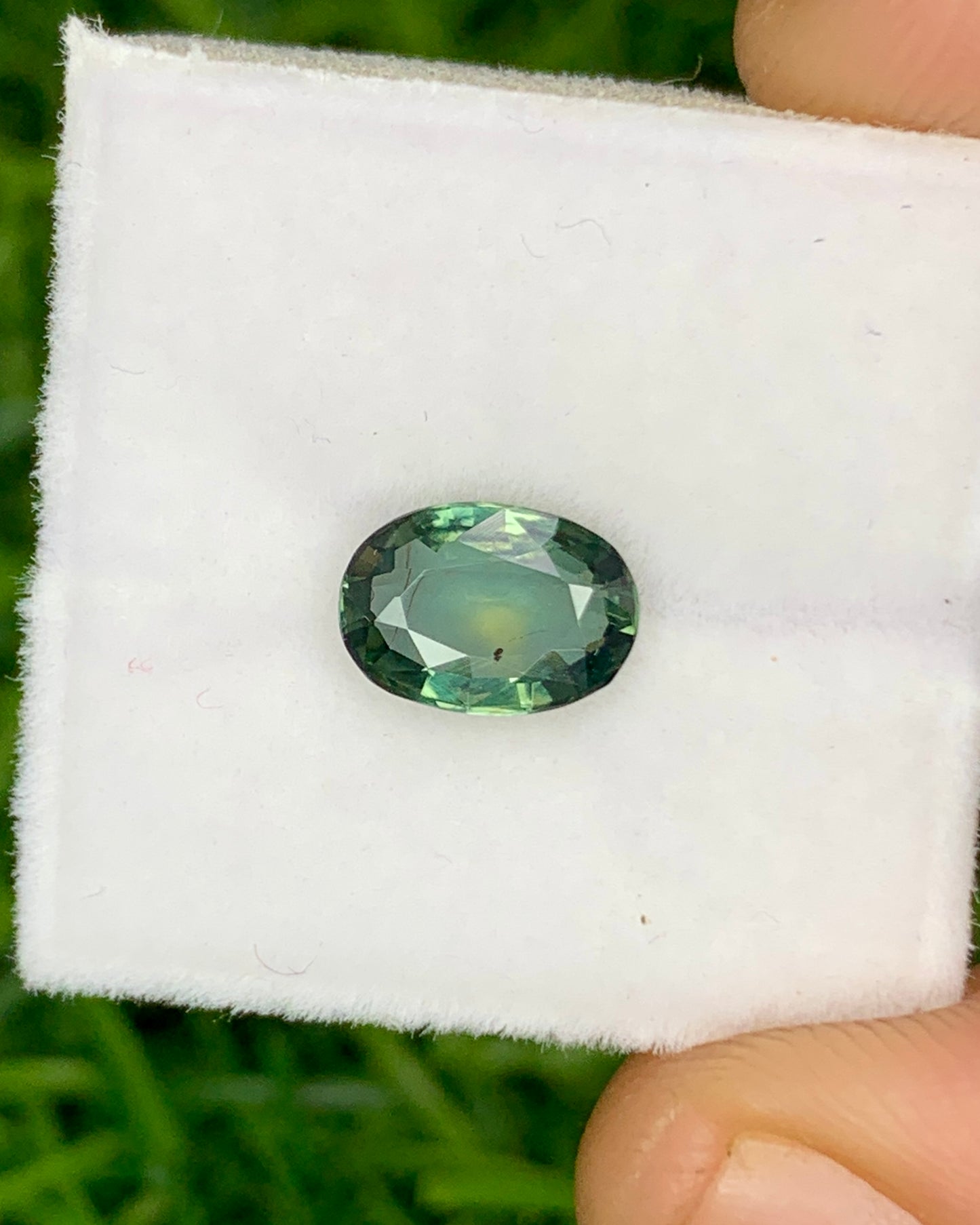 Natural Bi Color Sapphire 1.29 Carat 7.7x5.5 MM Oval Shape Faceted Gemstone