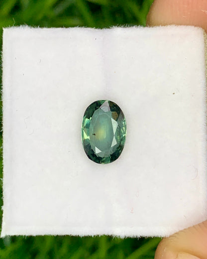 Natural Bi Color Sapphire 1.29 Carat 7.7x5.5 MM Oval Shape Faceted Gemstone