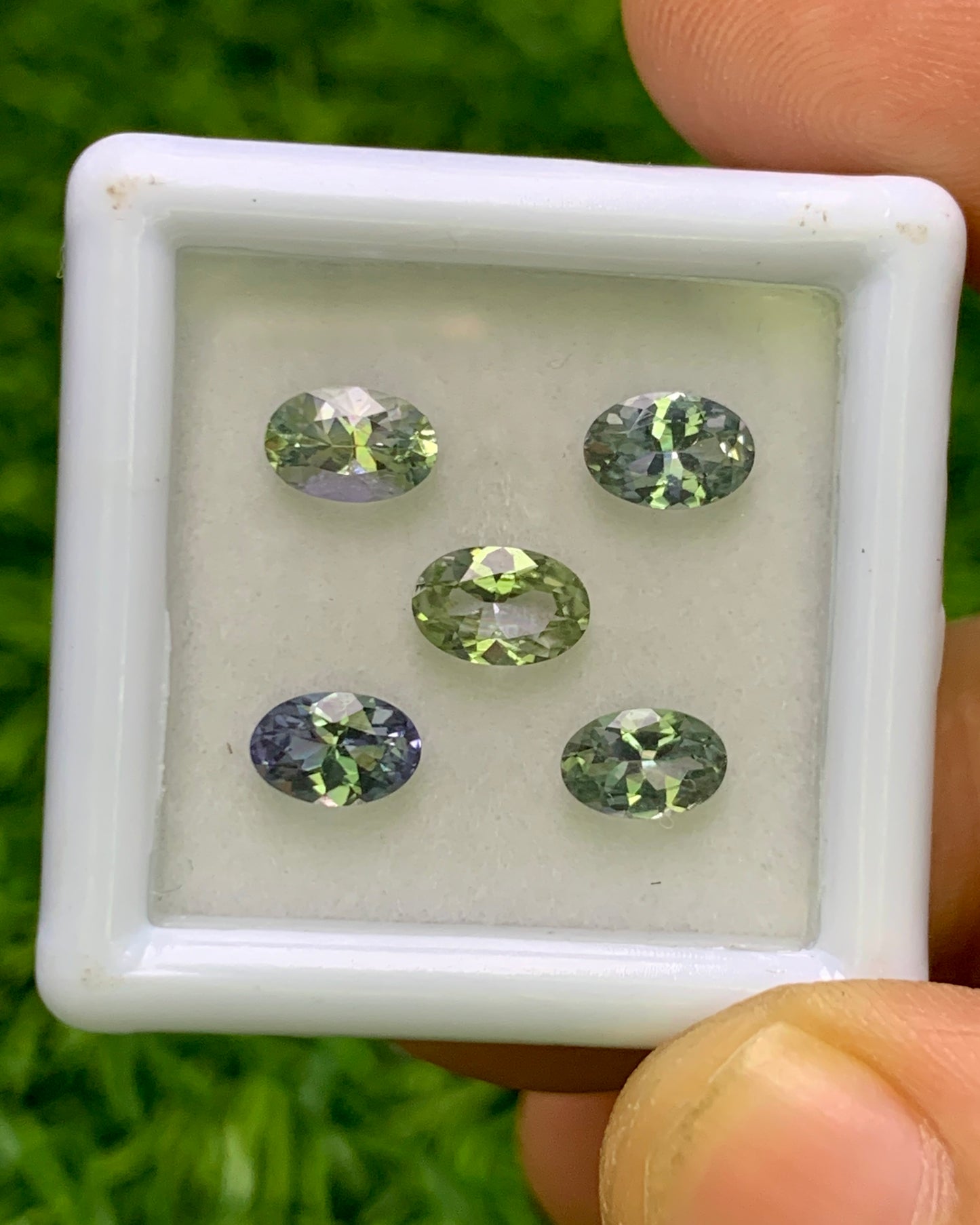 Natural Unheated Bi Color Tanzanite Lot 2.06 Carat 6x4/5.7x3.7 MM Oval Shape Faceted Gemstone 5 Piece Lot