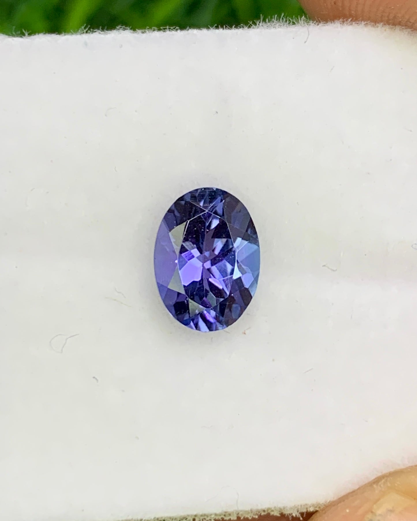 Natural Bi Color Tanzanite 1.19 Carat 7.7x5.7 MM Oval Shape Faceted Gemstone