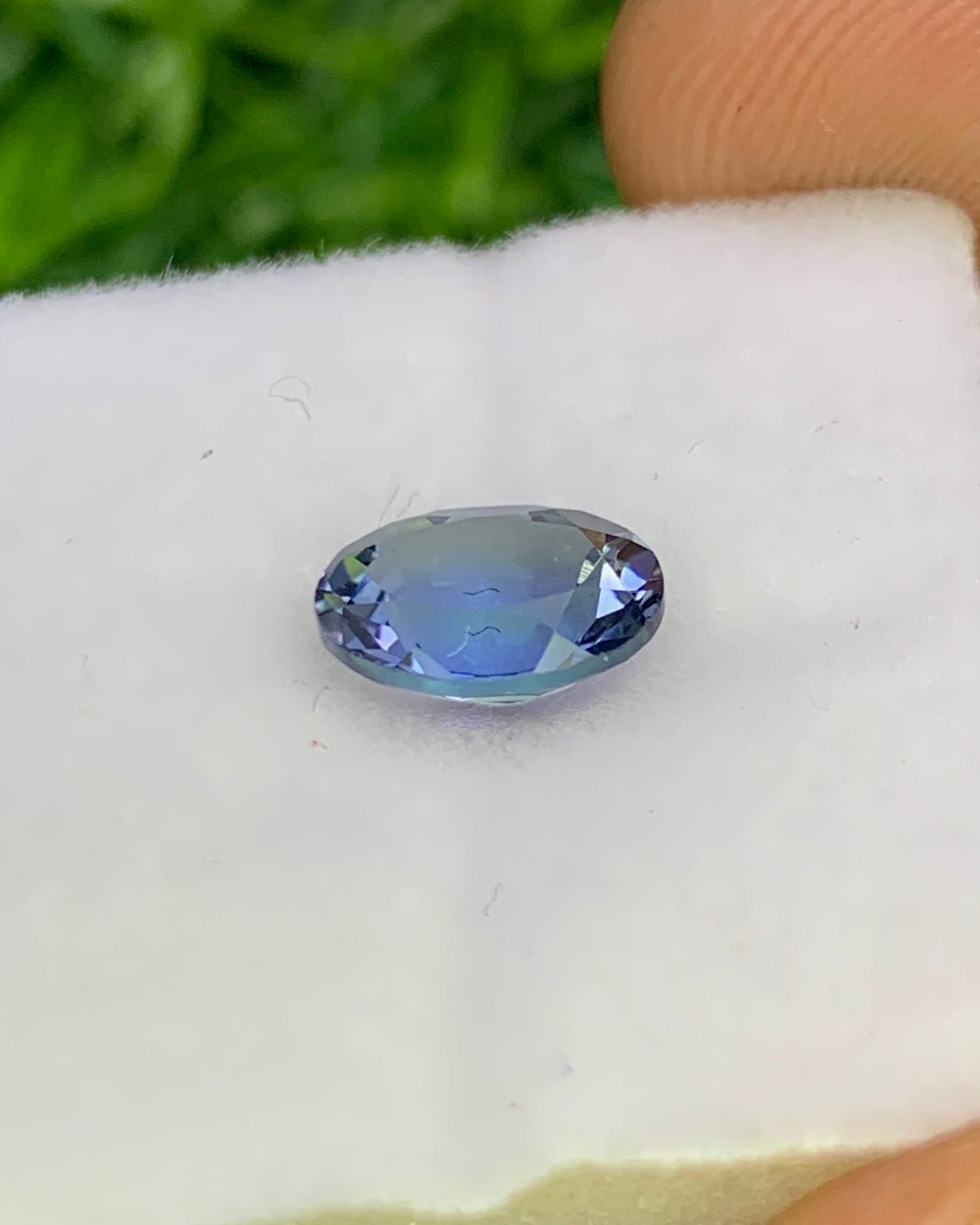 Natural Bi Color Tanzanite 1.19 Carat 7.7x5.7 MM Oval Shape Faceted Gemstone