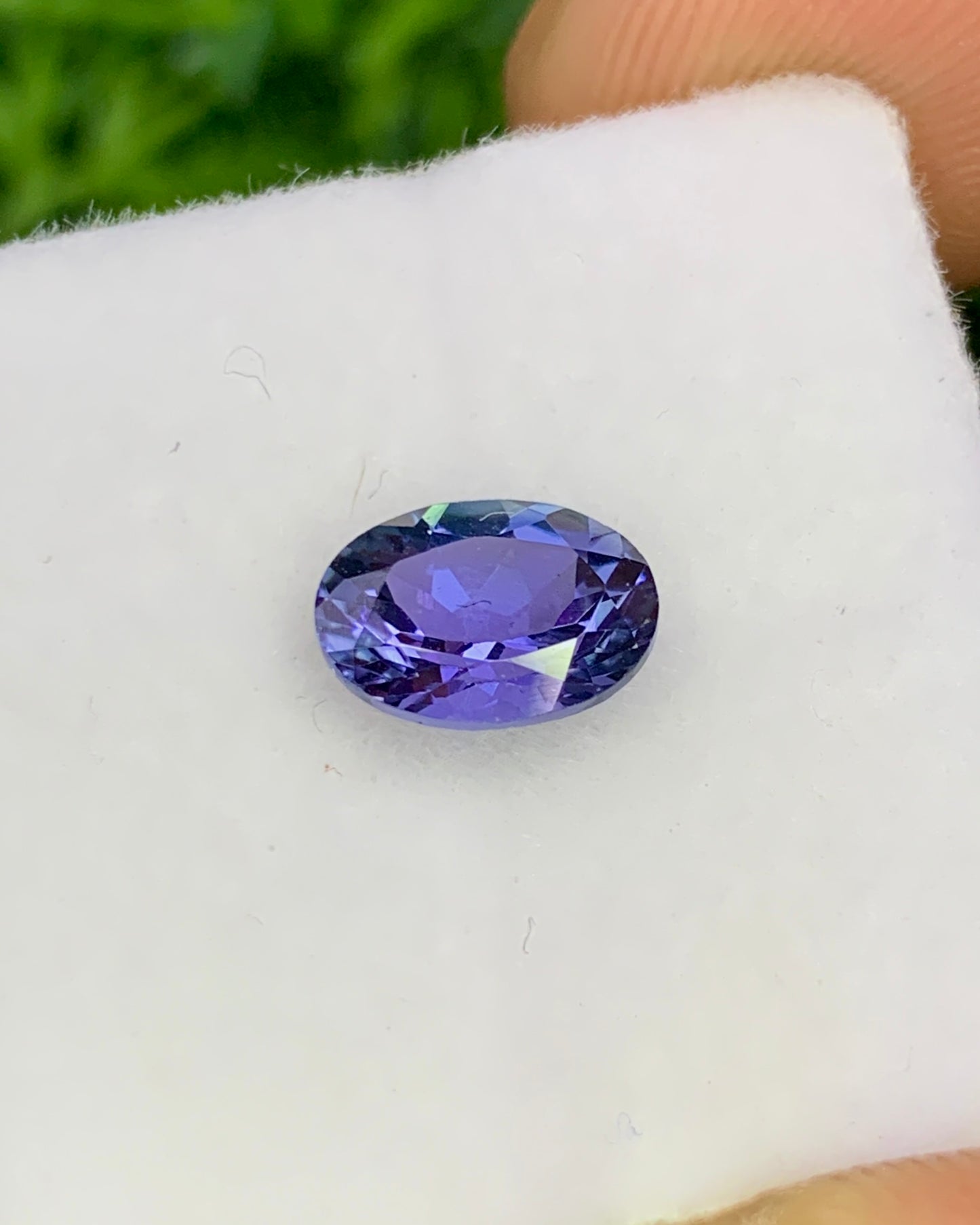 Natural Bi Color Tanzanite 1.19 Carat 7.7x5.7 MM Oval Shape Faceted Gemstone