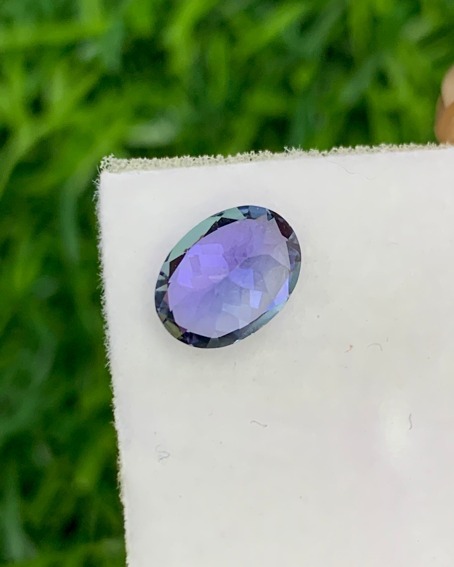 Natural Bi Color Tanzanite 1.19 Carat 7.7x5.7 MM Oval Shape Faceted Gemstone