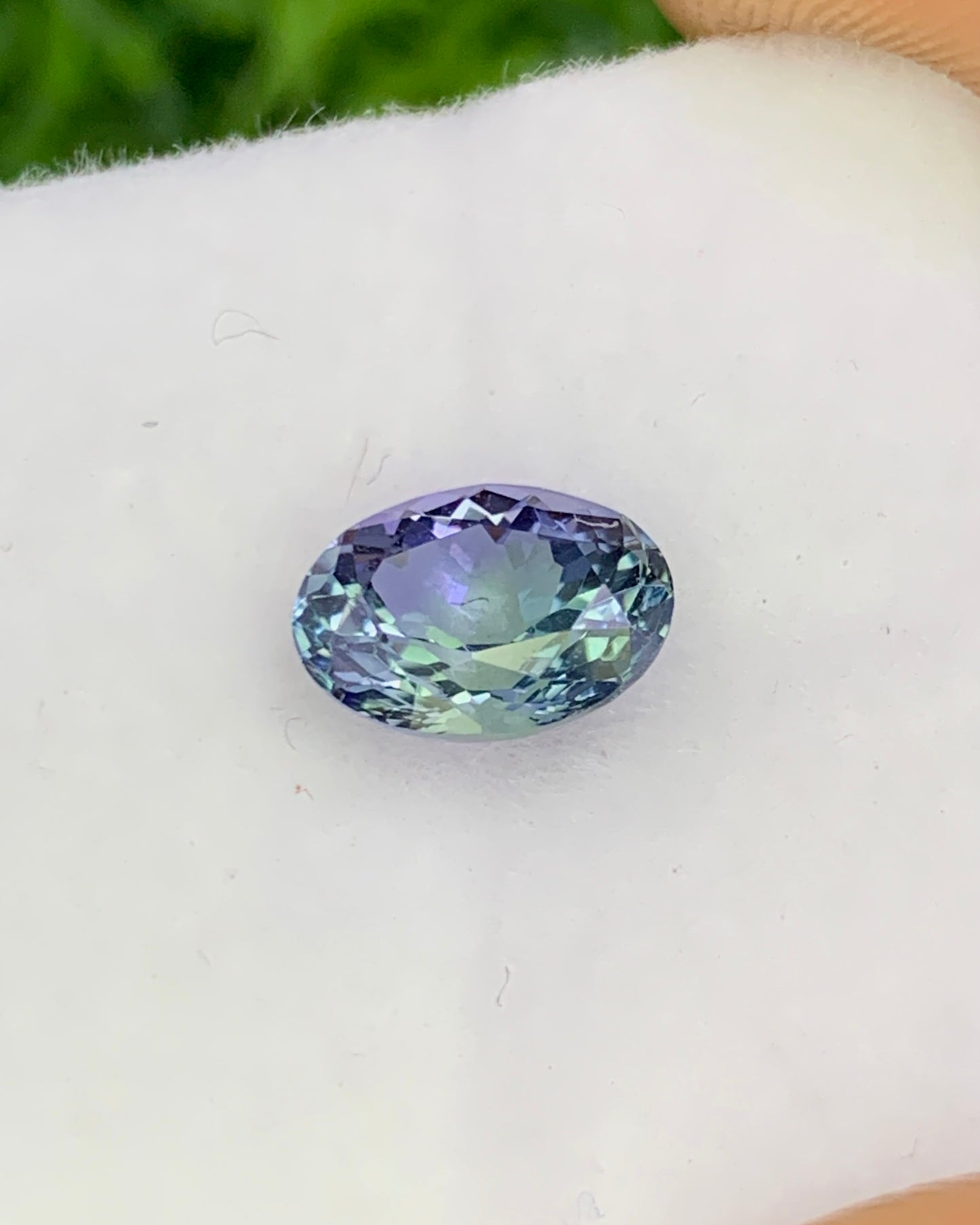 Natural Bi Color Tanzanite 1.20 Carat 7.6x5.6 MM Oval Shape Faceted Gemstone