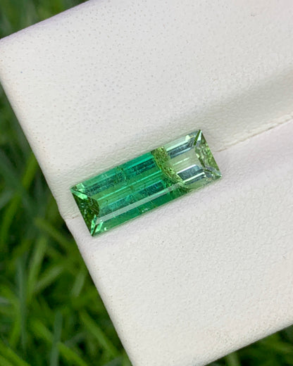 Natural Bi Color Tourmaline