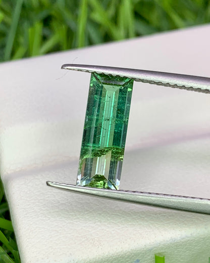 Natural Bi Color Tourmaline