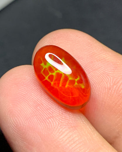 Natural Mexican Fire Honeycomb Opal 3.66 Carat 14.3x8.6 MM Oval Shape Cabochon Gemstone 