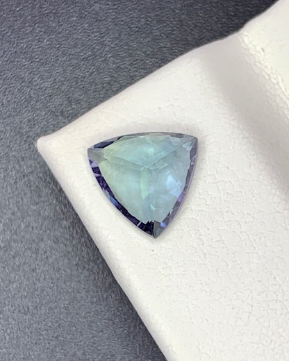 Natural Bi Color Tanzanite 1.59 Carat 7.7x7.7 MM Trillion Shape Faceted Gemstone 