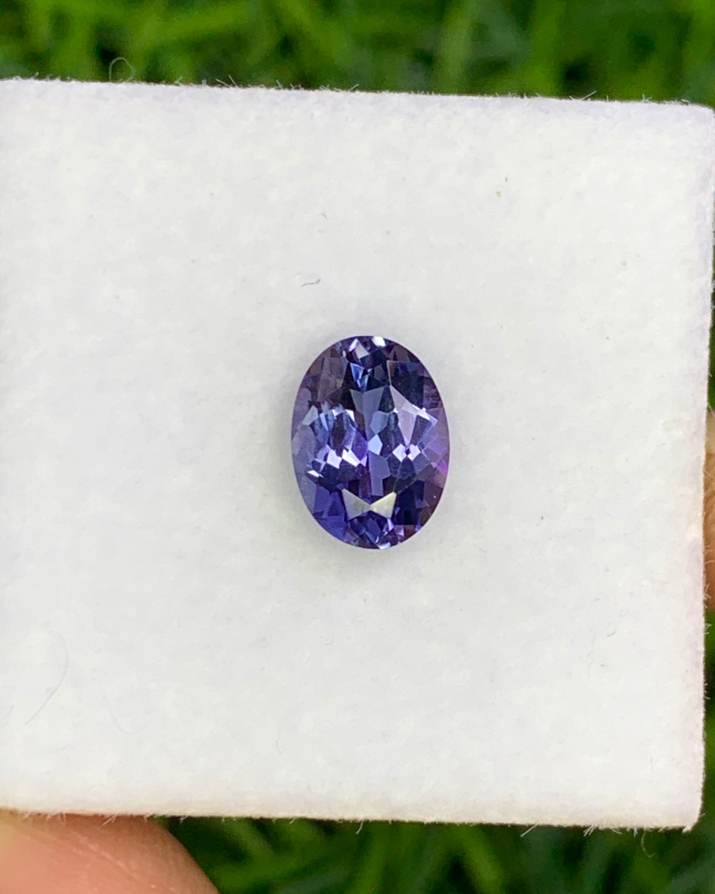 Natural Bi-Color Tanzanite 1.12 Carat 7.4x5.5 MM Oval Shape Faceted Gemstone